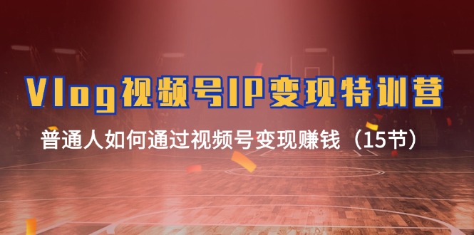 (11654期)Vlog 视频号IP变现特训营,普通人如何通过视频号变现赚钱(15节)-聊项目