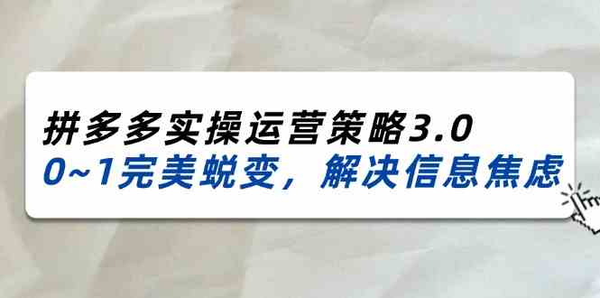 2024-2025拼多多实操运营策略3.0,0~1完美蜕变,解决信息焦虑(38节)-聊项目