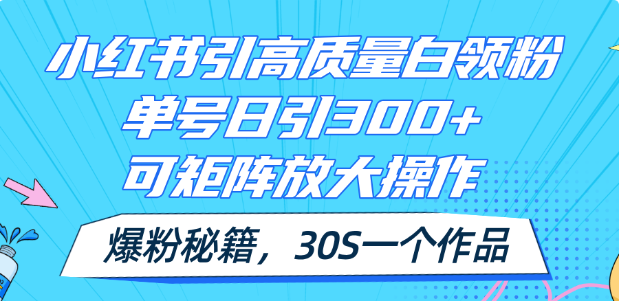 (11692期)小红书引高质量白领粉,单号日引300+,可放大操作,爆粉秘籍!30s一个作品-聊项目