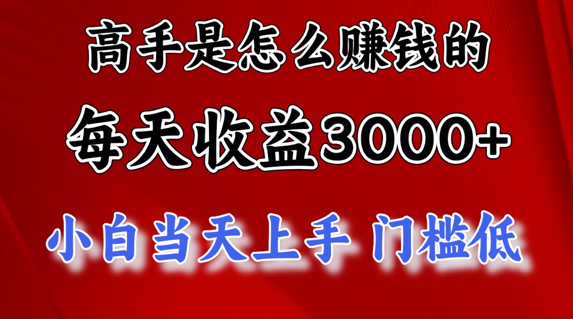 （12144期）1天收益3000+，月收益10万以上，24年8月份爆火项目-聊项目