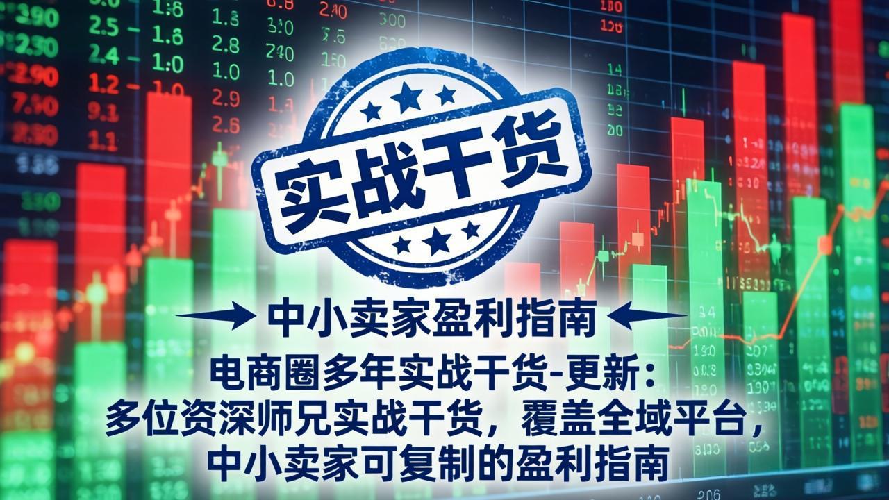 电商圈多年实战干货-更新5月20：多位资深师兄实战干货/覆盖全域平台，中小卖家可复制的盈利指南-聊项目