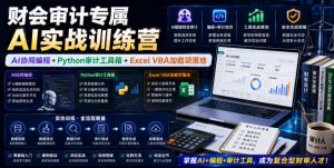 财会审计专属AI实战训练营|AI协同编程+Python审计工具箱+Excel VBA加载项落地-聊项目