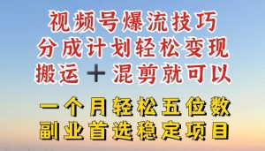 视频号爆流技巧，分成计划轻松变现，搬运 +混剪就可以，一个月轻松五位数稳定项目【揭秘】-聊项目