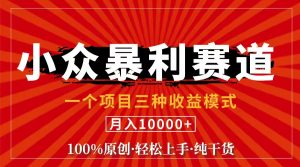 (11695期)视频号【中老年粉深信不疑】小众赛道 100%原创 手把手教学 新号3天收益…-聊项目