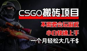 CSGO 装备搬砖项目，操作简单，不需要会玩游戏，小白也能快速上手，一个月轻松大几千【揭秘】-聊项目
