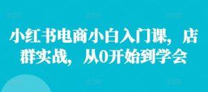 小红书电商小白入门课,店群实战,从0开始到学会-聊项目