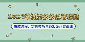 2024掌握拼多多运营精髓：爆款流程、定价技巧与SKU设计实战课-聊项目