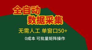 全自动数据采集项目，无需人工，单窗口可达50+收益，操作简单无难度，一个人也能轻松实现矩阵【揭秘】-聊项目