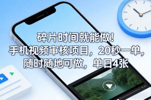 碎片时间就能做！手机视频审核项目，20秒一单，随时随地可做，单日4张+【揭秘】-聊项目