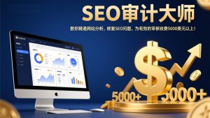 SEO审计大师：教你精通网站分析，修复SEO问题，为有效的审核收费5000美元以上！-聊项目