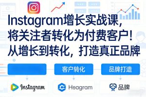 Instagram增长实战课，将关注者转化为付费客户！从增长到转化，打造真正品牌(双语字幕)-聊项目