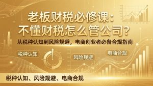 老板财税必修课：不懂财税怎么管公司？从税种认知到风险规避，电商创业者必备合规指南-聊项目