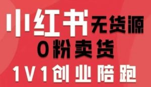 小红书无货源0粉电商课，开店准备、选品策略、笔记撰写、视频剪辑、数据分析、账号打造、资料文档(更新26年3月)-聊项目