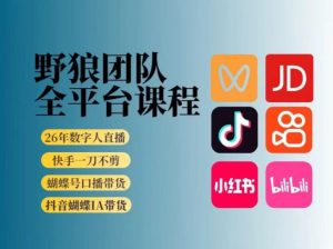 野狼团队2026新版全平台短视频带货教学，打开流量突破口，开始Ai带货(更新26年3月)-聊项目