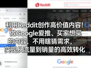 利用Reddit创作高价值内容!做Google爱推、买家想买的内容,不用瞎猜需求,实现从流量到销量的高效转化-聊项目