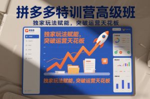 拼多多特训营高阶班,独家玩法赋能,突破运营天花板(更新26年3月27日)-聊项目
