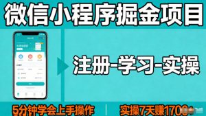 微信小程序掘金项目，项目很简单，5分钟就能学会上手操作，实操7天賺了1700+【揭秘】-聊项目