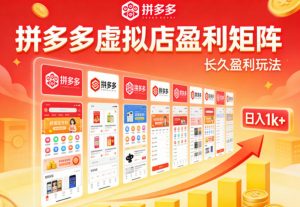 实测可落地!拼多多虚拟店长久盈利玩法,矩阵放大收益,日入1k+不难【揭秘】-聊项目