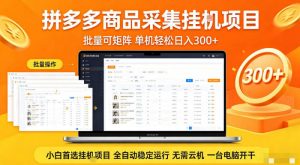 拼多多商品信息全自动采集项目，批量可矩阵，单机轻松日入300+，无需云机一台电脑开干【揭秘】-聊项目