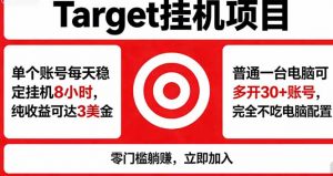 海外平台Target，正规运营商合作、技术兜底长期稳定、防风控、任务不断档、收益透明、灵活提…-聊项目