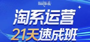 淘系运营21天速成班,0基础轻松搞定淘系运营,不做假把式,快速复制落地(更新26年4月)-聊项目