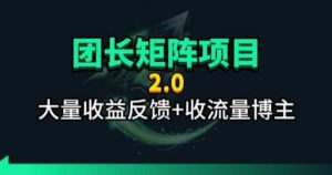 【团长合作2.0】视频矩阵项目_招发手矩阵+剪辑师,共赢项目【揭秘】-聊项目