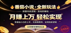 番茄小说5月最新独家玩法,稳定落地实测月入过万!-聊项目