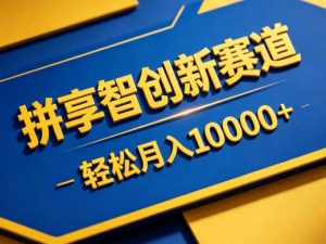 拼享智创新赛道,轻松月入1W+,门槛极低、收益稳定、可长期放大的轻资产项目【揭秘】-聊项目