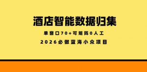 酒店智能数据归集，小众蓝海已经稳定半年之久，单窗口70+零成本矩阵开干【揭秘】-聊项目