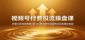 视频号付费投流操盘课:多维分析投放策略,借力付费流量带动自然流长效增长收益-聊项目