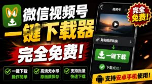 手机端也可下载微信视频号了？完全免费使用，一键解析视频号原视频和封面视频号下载助手v1.1-聊项目